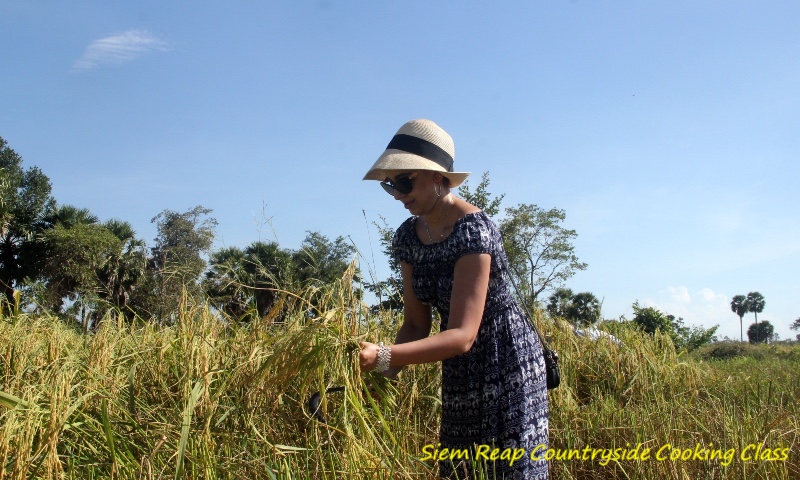 Siem Reap Experience Local Life's Tour
