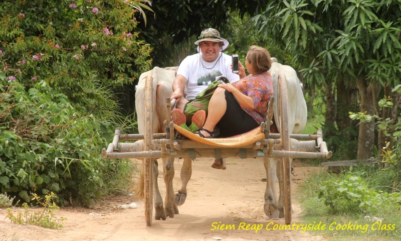 Siem Reap Countryside Cooking Class Tour